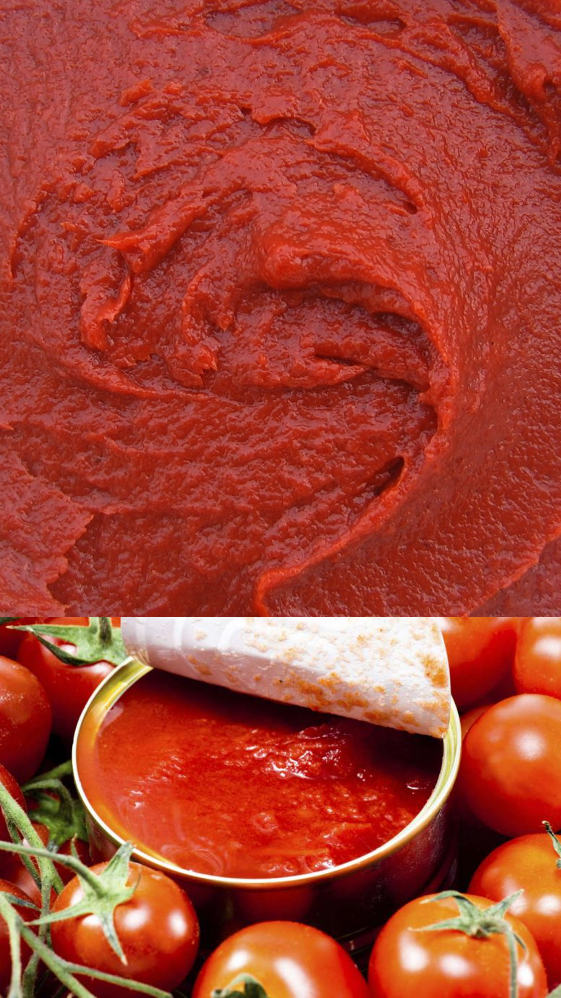 Pasta de Tomate 30/32° brix Hot Break | Pasta Concentrada de Tomate Super Hot Break | Agrozzi, principal productor y proveedor de Pasta de Tomate de Chile