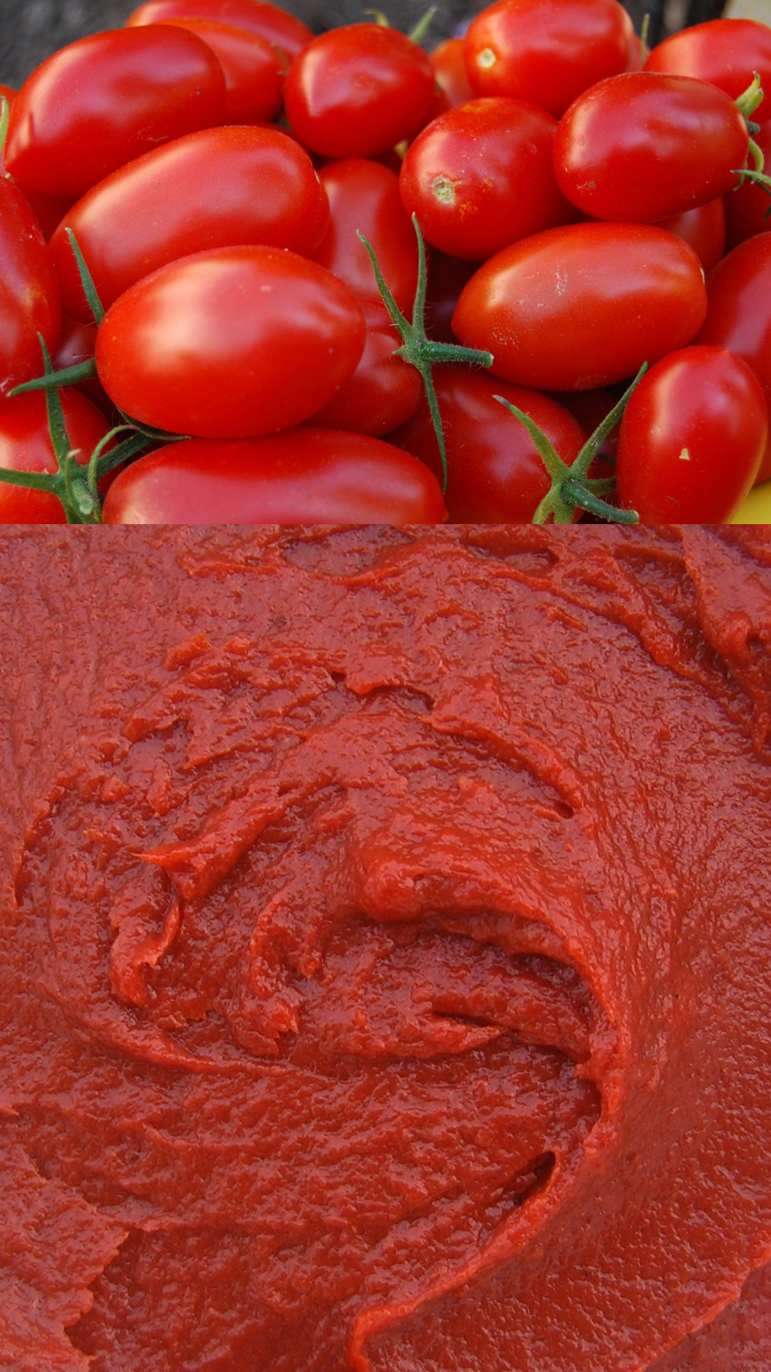 Pasta de Tomate 30/32° brix Hot Break | Pasta Concentrada de Tomate Super Hot Break | Agrozzi, principal productor y proveedor de Pasta de Tomate de Chile