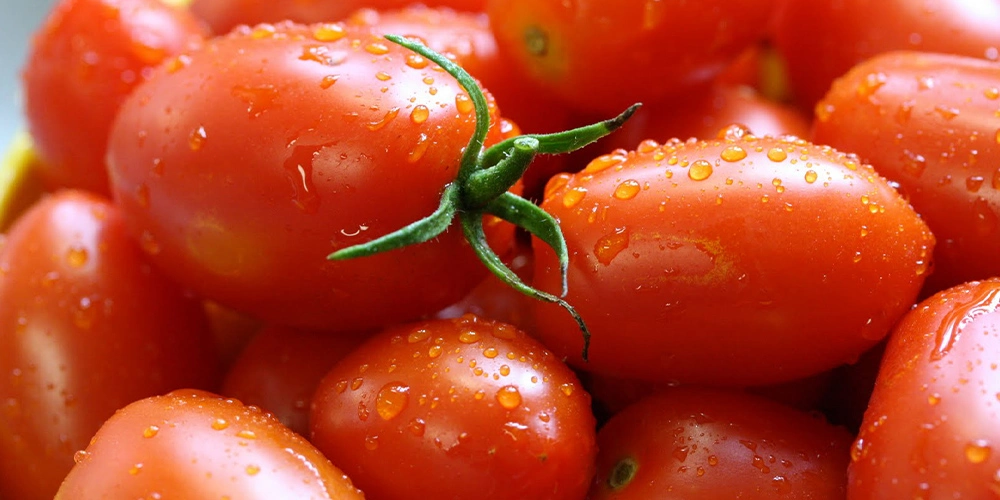 PASTA DE TOMATE COLD BREAK PARA USO INDUSTRIAL