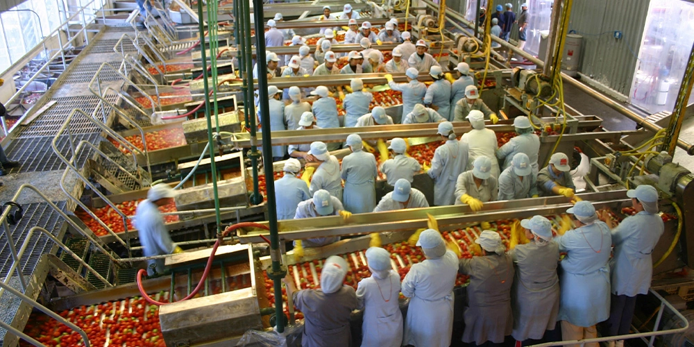 PASTA CONCENTRADA DE TOMATE HOT BREAK PARA USO INDUSTRIAL