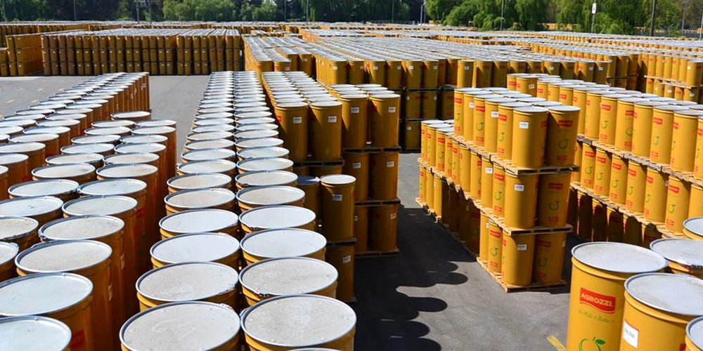 PASTA CONCENTRADA DE TOMATE HOT BREAK PARA USO INDUSTRIAL